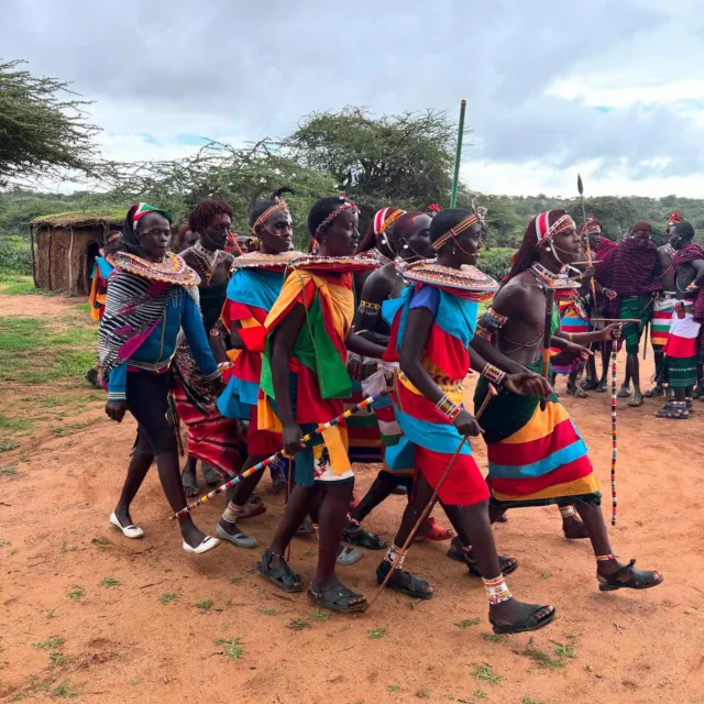 **Why You Should Book Your Safari with @chelipeacocksafaris @serandipians DMC for Kenya, Tanzania, Rwanda, and Uganda 🦁✨**

If your clients are looking for more than just a safari – a *true* African adventure, Cheli & Peacock is your partner. 🌍 

For over 36 years, they’ve been creating bespoke journeys across East Africa that go beyond the ordinary. Think of tracking lions in Laikipia, trekking with mountain gorillas, and so much more. 

But here’s the real magic – **Authentic Cultural Interactions**. Imagine spending an afternoon at the ancient, unphotographed singing wells of the Samburu or learning ancient hunting techniques with the Hadzabe, one of the last remaining hunter-gatherer tribes… These moments are the stuff you won’t find in any guidebook. It’s raw, it’s real, and it’s life-changing. 🌿✨

With Cheli & Peacock, your clients will not just visit Africa – you’re connecting with it. It’s luxury, it’s wild, and it’s *real* culture in all its vibrant, colorful beauty. 

Contact us to introduce you to the team 👥 !

#CheliPeacock #SafariGoals #AuthenticAfrica #CulturalImmersion #LuxuryTravel #WildlifeSafari #EastAfrica #TravelWithPurpose
