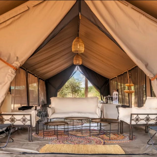 Beach or Bush? Tented Camp or Lodge? Community Conservancy or National Park?
The beauty of East Africa lies in its endless safari choices—and navigating them all for your clients is no small feat.

That’s why @chelipeacocksafaris , your trusted @serandipians DMC partner, is launching a series of exclusive webinars designed to keep you effortlessly updated on everything East African safari.

From the latest lodge openings to conservation updates and insider travel tips, they will be happy to help you craft unforgettable experiences—without the overwhelm.

Stay tuned in our stories for the webinar dates and topics!

#EastAfricaSafari #LuxurySafari #ChemiAndPeacock #RListRecommends #SafariDMC #TravelTrade #Tanzania #Kenya #WildlifeExperiences #bushandbeach