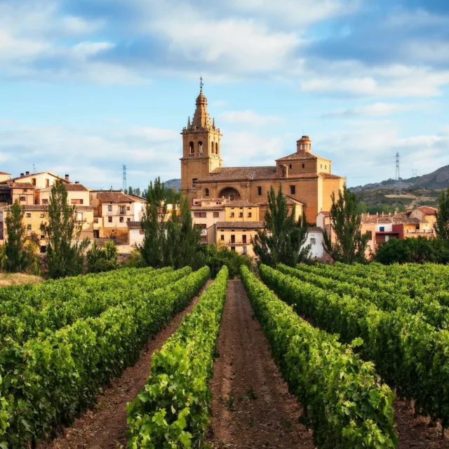 **In the heart of Spain’s 🇪🇸🍷 most exceptional terroirs** 

With ELUXSPAIN DMC wine becomes more than a tasting—it becomes a journey. Imagine your clients exploring the soul of Spanish viticulture through exclusive experiences in Castilla y León and La Rioja. 

Each season reveals a new face of these iconic regions: 
Spring blossoms in the vineyards, summer celebrates with village festivals, fall brings the magic of the harvest, and winter offers quiet warmth in ancient cellars. 

Let their next escape be one of flavor, tradition, and timeless beauty!

#rlistparis #eluxspain #spanishwines #larioja #castillayleon #luxurytravel #wineexperience #terroir
